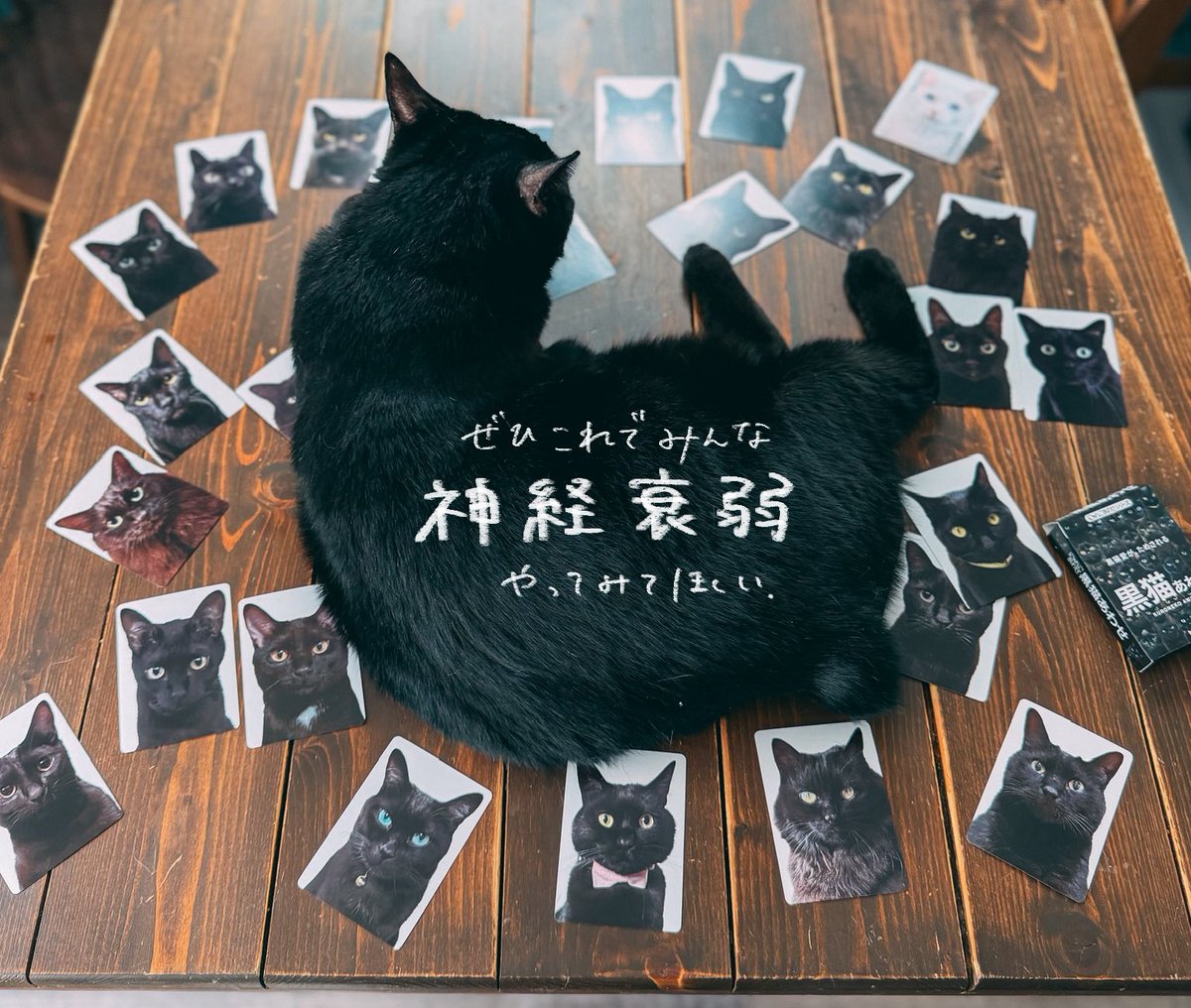 一閑張り　一閑張りバック　白猫　 昼寝猫　猫沢山　素敵 MIX CATS | sen no STORE