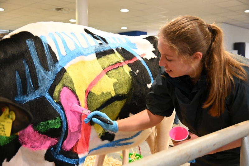 Big thank you to Scarsdale Vets for running the 'Beneath the Black and White' Calf Painting demonstration at UK Dairy Day. It worked really well alongside the Lung Scanning demonstration, helping the understanding of lungs and calf health. #UKDairyDay #CattleCare

<a href="/scarsdalefarm/">Scarsdale Farm Vets</a>