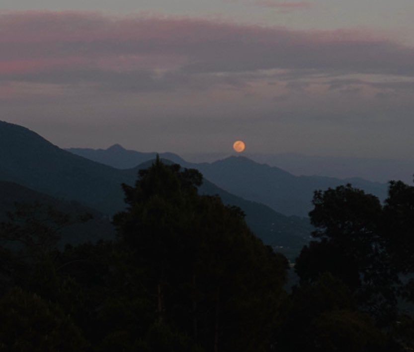 the only propaganda i'm falling for