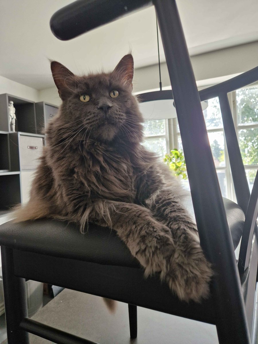 soph 🗸 tweet media