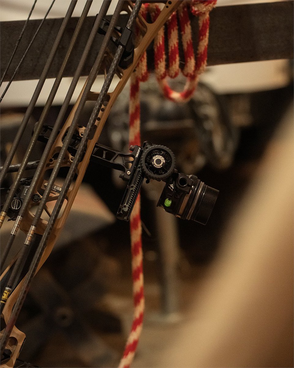 truball_axcel's tweet image. It’s in the details — and the details make the difference. 🔥 AXCEL® Driver

-
#axcel #Driver
#axcelDriver
#axcelsights
#BestinBowhunting
#RealNumber1
#LeadingTechnology
#ProvenResults
#WeMakeArcheryBetter
#truball_axcel