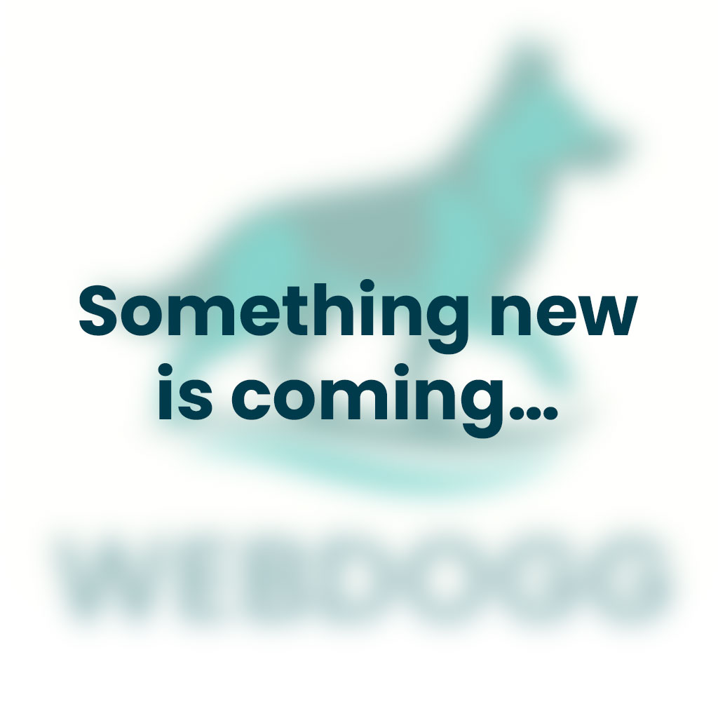 thewebdogg's tweet photo. After 7+ years of helping pet businesses grow, we’re taking Webdogg in a bold new direction.

Big announcement dropping soon — we’re niching down to serve one type of business… exclusively.

Stay tuned 👀 https://t.co/4B2EPx386S