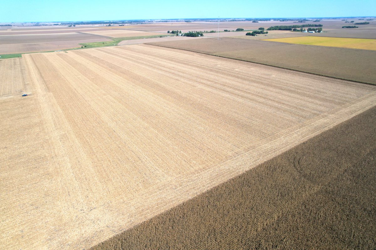 WorrellLand's tweet photo. FARMLAND AUCTION! 83.04± Acres · 97% Class A Tillable · Sangamon/Morgan County, IL. Robust production history. Strong 142.3 PI. Open for 2026. Located 4± miles SW of New Berlin where land seldom hits the open market. Auction Wed., Nov. 19. Details at https://t.co/9sXkBUoRI9 https://t.co/HQJVetvwtV