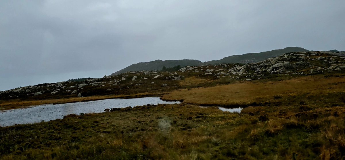 CrowberryEnergy's tweet photo. We say goodbye to #Norway today, dm us if your looking for #ISO50001 support, #training &amp; #audit. We have many happy clients for #EnMS compliance! #energymapping #energymanagement @maryrfinnegan @FSB_Voice @WEConnection @visitnorway https://t.co/aT93IjlaK8