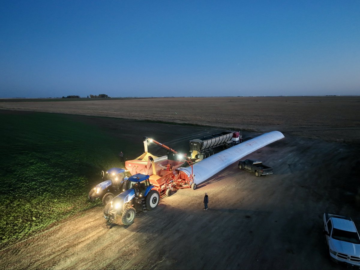 AJM Seeds tweet media