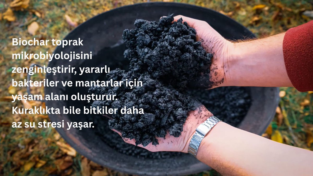 Toprağı iyileştirmek, bitkisel atıkları değerlendirmek ve iklim değişikliğine karşı direnci artırmak için harika bir alternatif olan “Biochar” Sami Çeltikoğlu’nun kaleminden ekolojionline.com da.