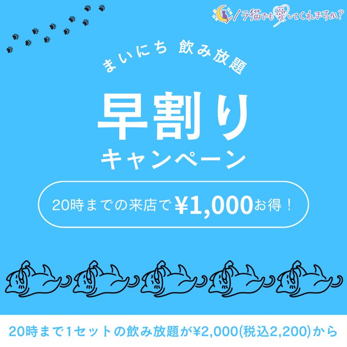 ノラ猫でも愛してくれますか？のツイート