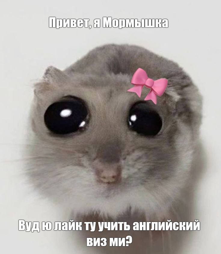 mrmshka's tweet image. Ребятушки, у меня освободилось пару слотов, может быть кто-то хотел бы позаниматься у меня английским? есть бесплатная пробная встреча-знакомство, а анкета препода у меня вот тут notion.so/20f725aef1cf80…
А если вам не надо, то просто пошерьте, пожалуйста, буду очень благодарна!