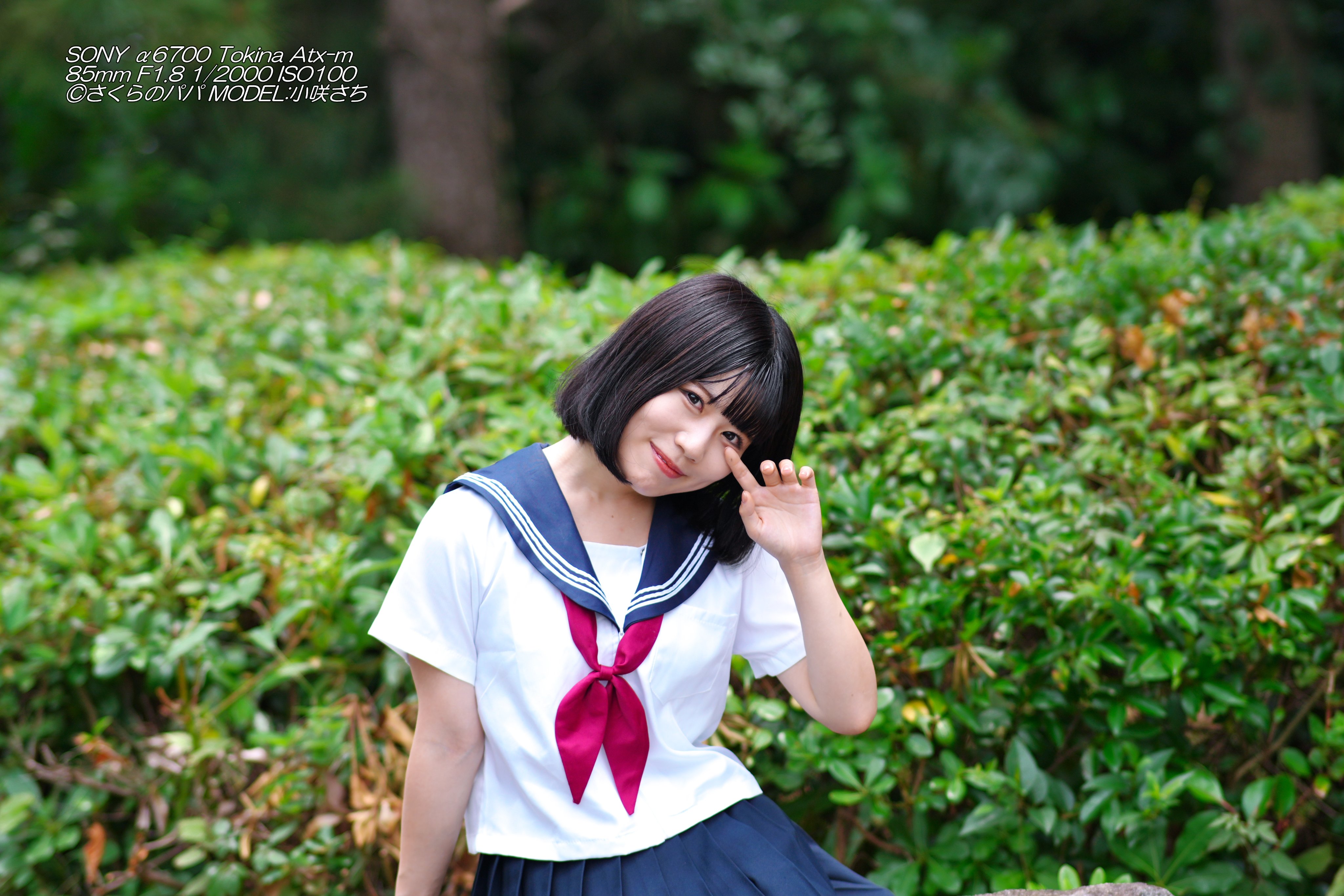 🇺🇦さくら🐇のパパ🇺🇦高配当株に移行中🇺🇦 on X: 