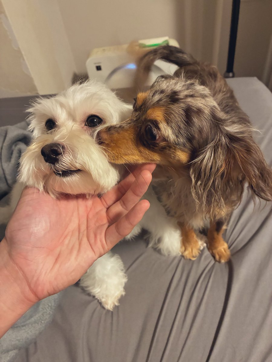 試合前たくさん我慢させてしまうけど
いつもありがとう😊　#むぎくま