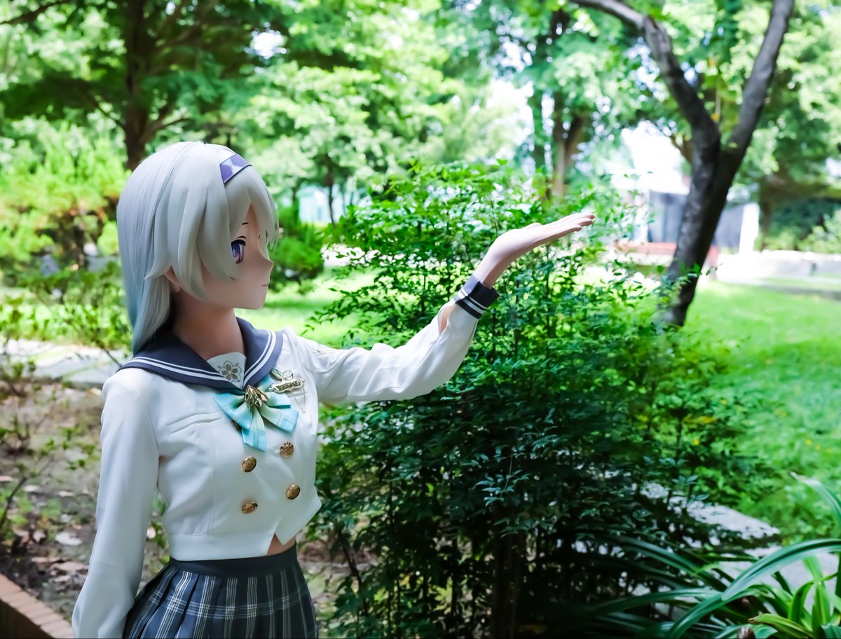 多綠、 tweet media