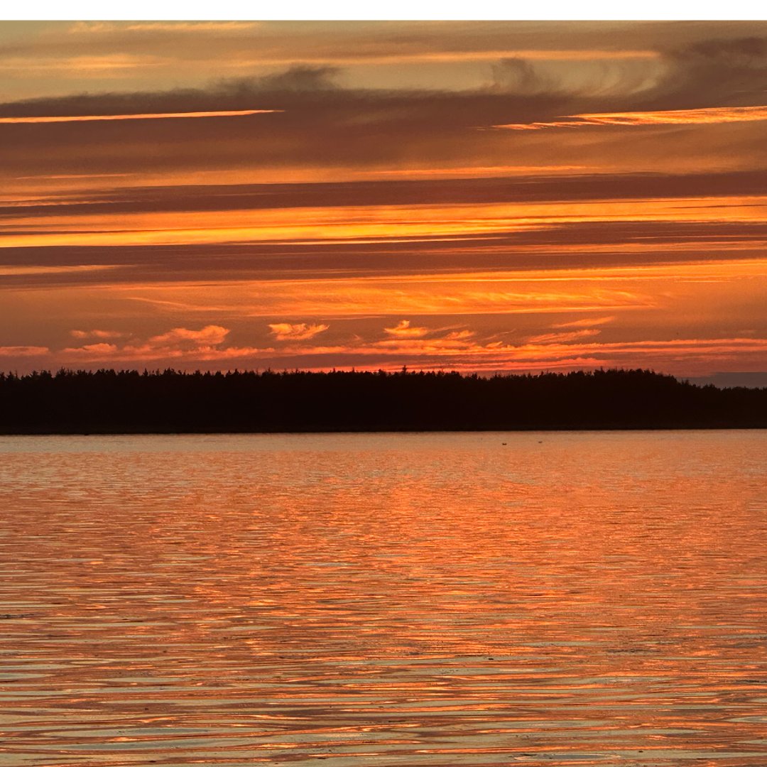 HeatherCashman's tweet image. Oregon sunset at Ecola State Park. I ate some blackberries from here, as I've been doing all over Oregon and Washington.
 #RVLife #Oregon #HaystackRock #Sunset