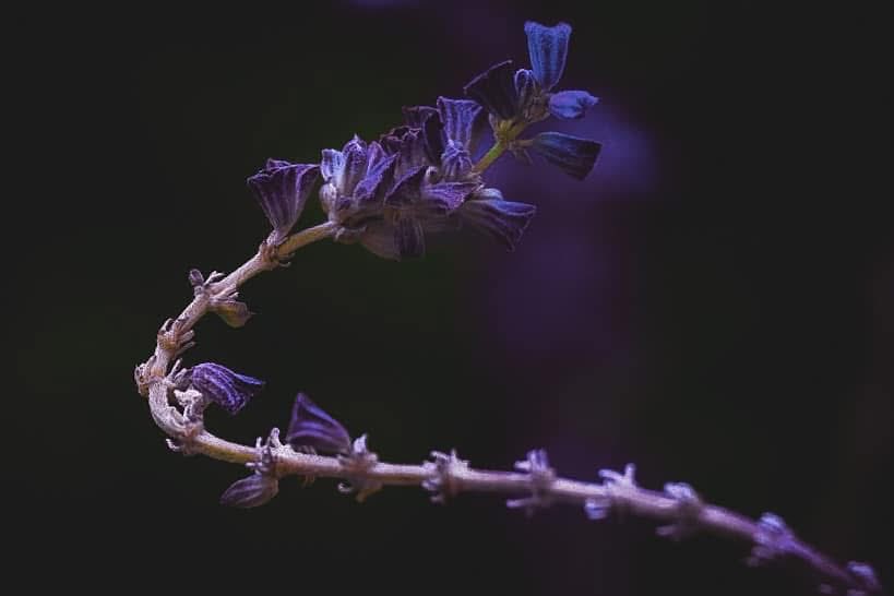 bugs836's tweet image. Good Morning 📸