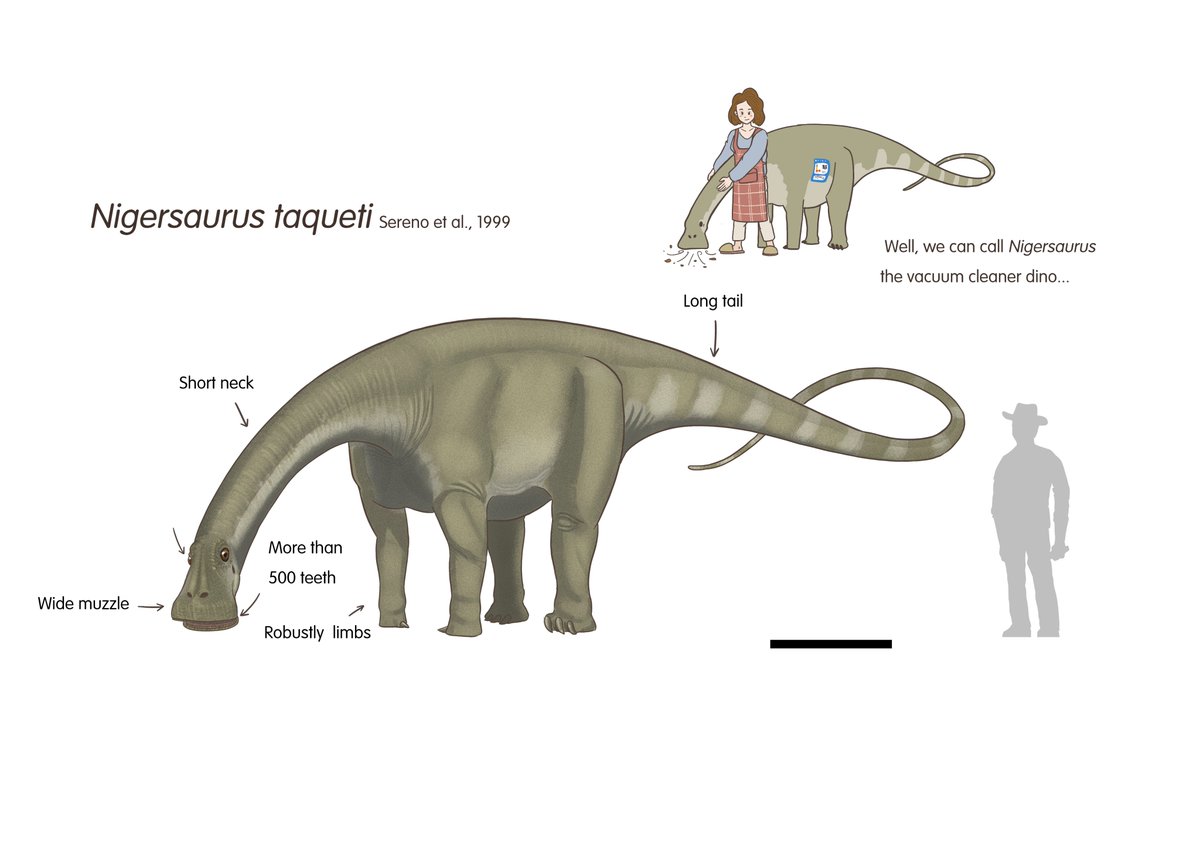 Vacuum cleaner dino！