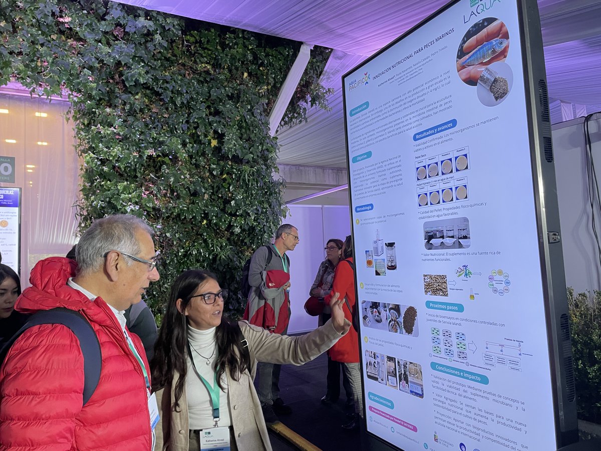 Desde #LACQUA2025, AquaPacífico impulsa una acuicultura más sostenible 🌱🐟
Innovamos con alimentos hechos a base de microorganismos marinos chilenos 🇨🇱
🔗 Lee más: aquapacifico.ucn.cl/?p=79542