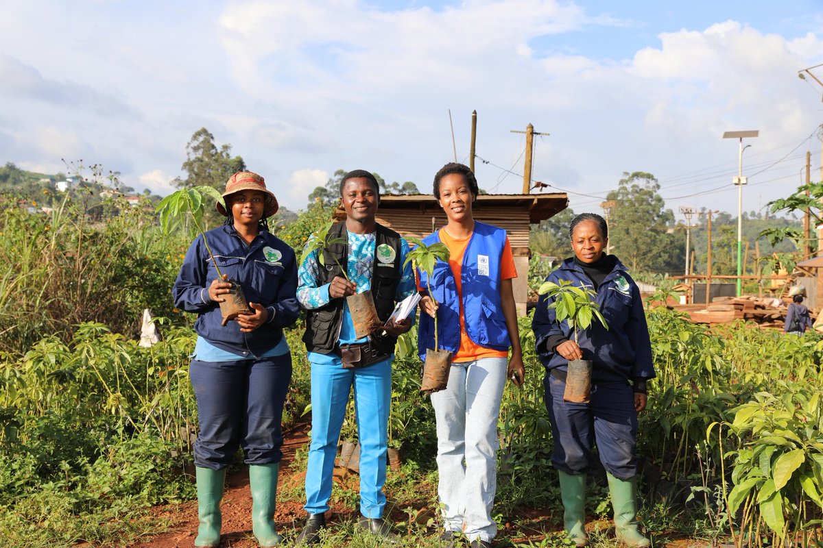 PNUDCameroun's tweet image. #YWEEP  #Monitoring_Evaluation

Thanks to support from the YWEEP program, NIENATFOD (honey and honey products) and AGRO ANHK (fruit tree seedlings) are boosting their production, increasing their turnover, and improving working conditions. 

The #UNDP🇨🇲 teams were on the ground…