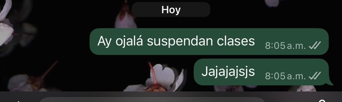 Buenos días desde mi camita