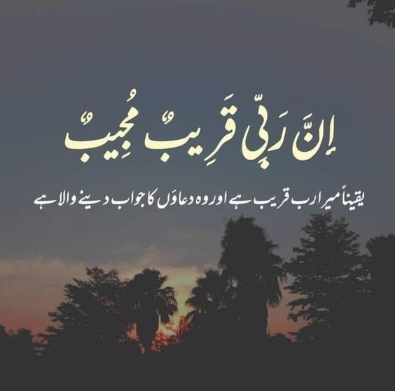 <a href="/SafiaSyed432/">𝓢𝓸𝓯𝓲𝓪𝓱𝓪𝓼𝓼𝓪𝓷</a> Insha Allah
