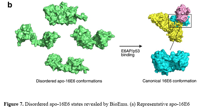 AllThingsApx's tweet photo. AI + MD reveal what crystals can’t.

BioEmu sampled 10,000 E6 conformations, with millisecond-scale ensembles exposing hidden open-groove states.

Future inhibitors stabilize transient ensembles, not single poses. 💊 https://t.co/cMWdkBLHgP