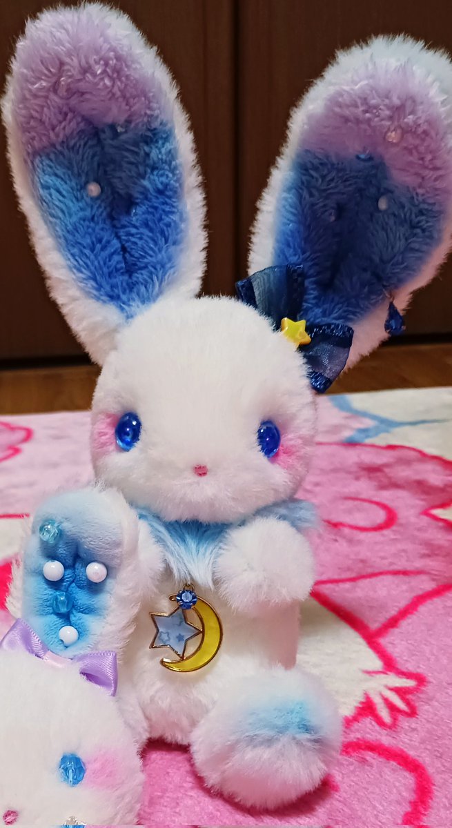 ユメミルうさぎ ゆめちからブレンド「Reve de Lapin レヴ・ドゥ・ラパン