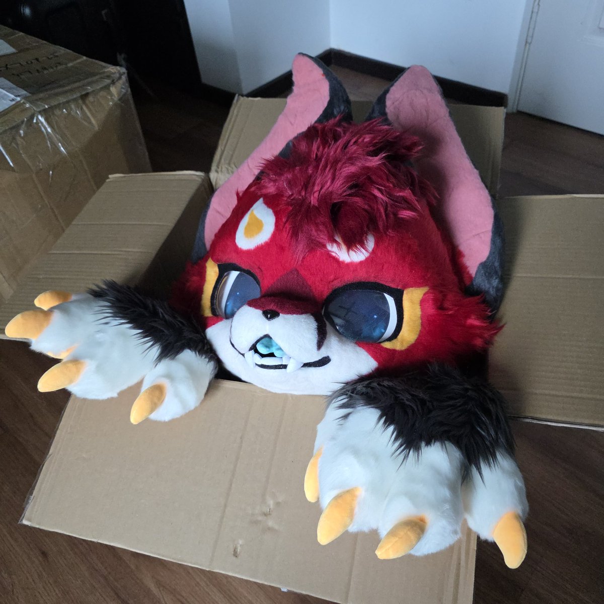 It's time to let the bat out of the box.