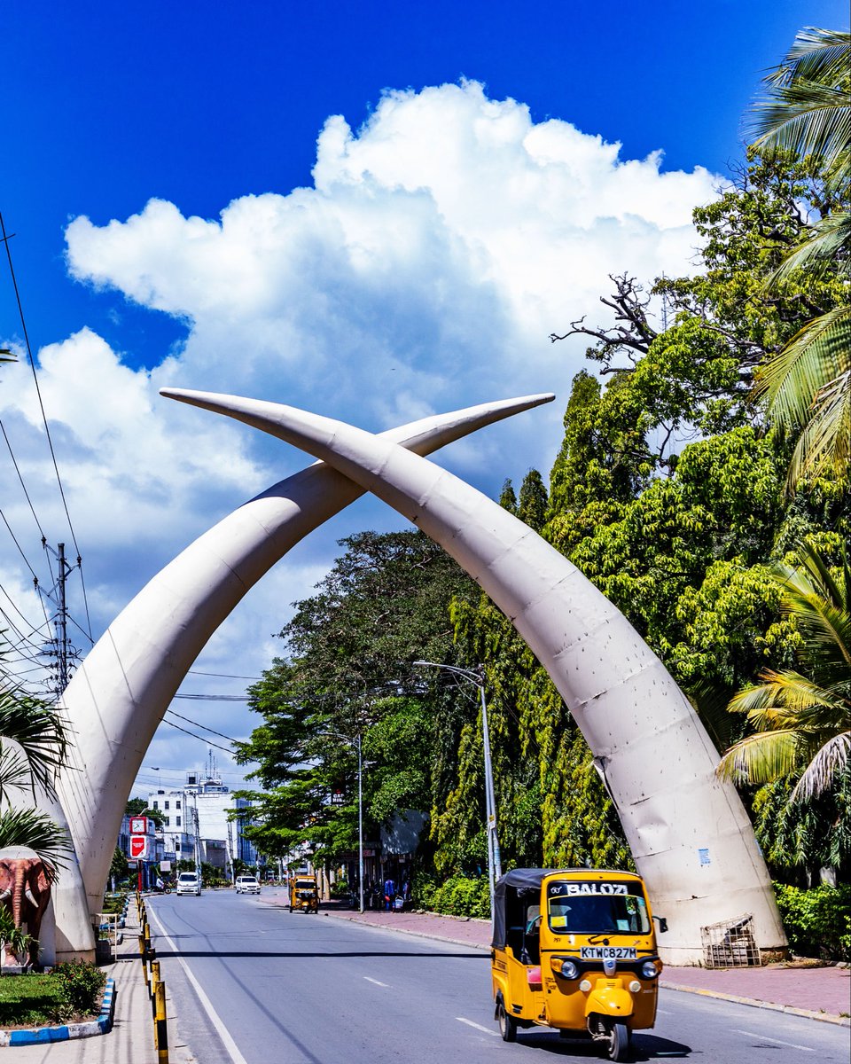 FlyRwandAir's tweet photo. Discover the Magic of Mombasa!
Starting this December, enjoy four weekly flights to Kenya’s stunning coast.

Bring your loved ones, soak up the sun, and make memories by the sea.

Book now and save 50% at https://t.co/Qhvf29rTPf

#FlyTheDreamofAfrica #Mombasa https://t.co/pXytwr67yk
