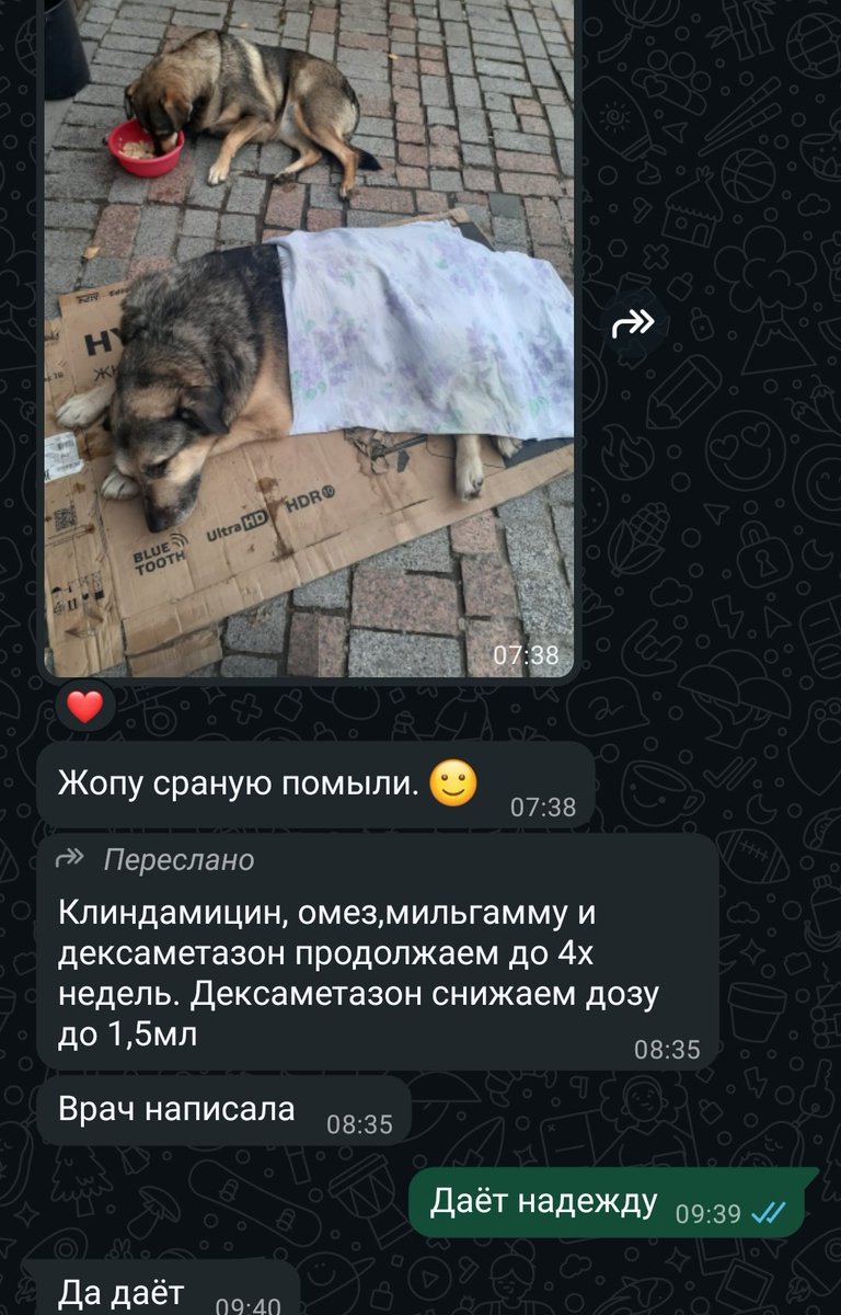 Ест, пьëт, лечение сказали продолжать
Набрали почти 17000,вот эту штуку заказали, ждём с Озона.. 
ozon.ru/t/nK7xEbh
Марина всех благодарит(её нет в Твиттере) Малыш, если бы мог, уверена, тоже бы отблагодарил
И я горжусь вами, вы потрясающие❤🫂