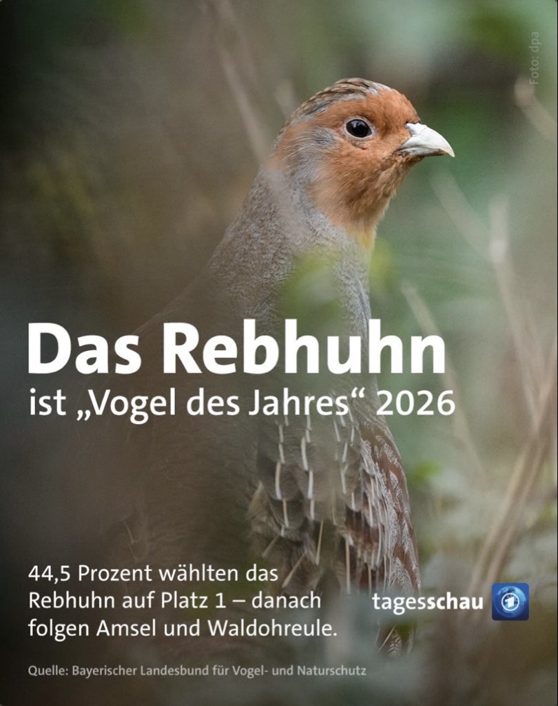 yolanda winston tweet media