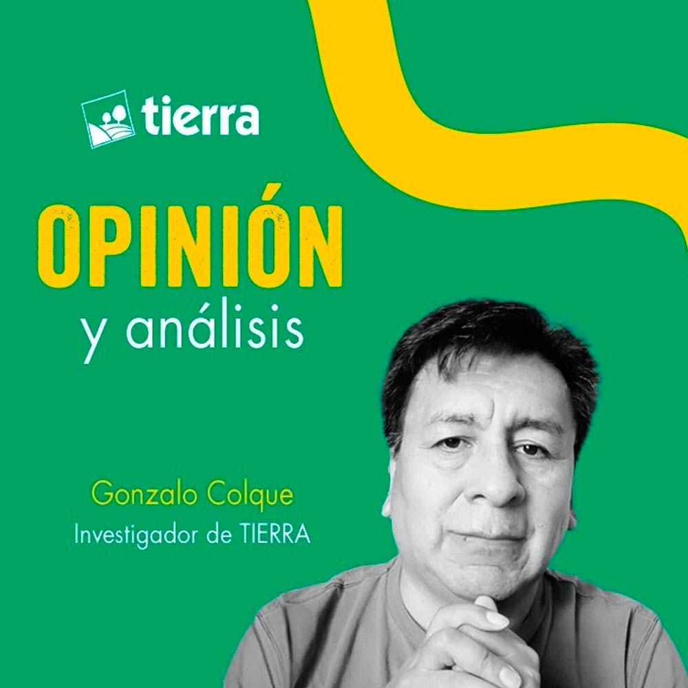 PROPIEDAD PRIVADA, “CAPITALISMO PARA TODOS” Y OTROS MITOS
"Todos queremos libertad económica, pero no es un punto de partida, sino un punto de llegada" menciona Gonzalo Colque.
Ver nota completa aquí: ftierra.org/index.php/opin…