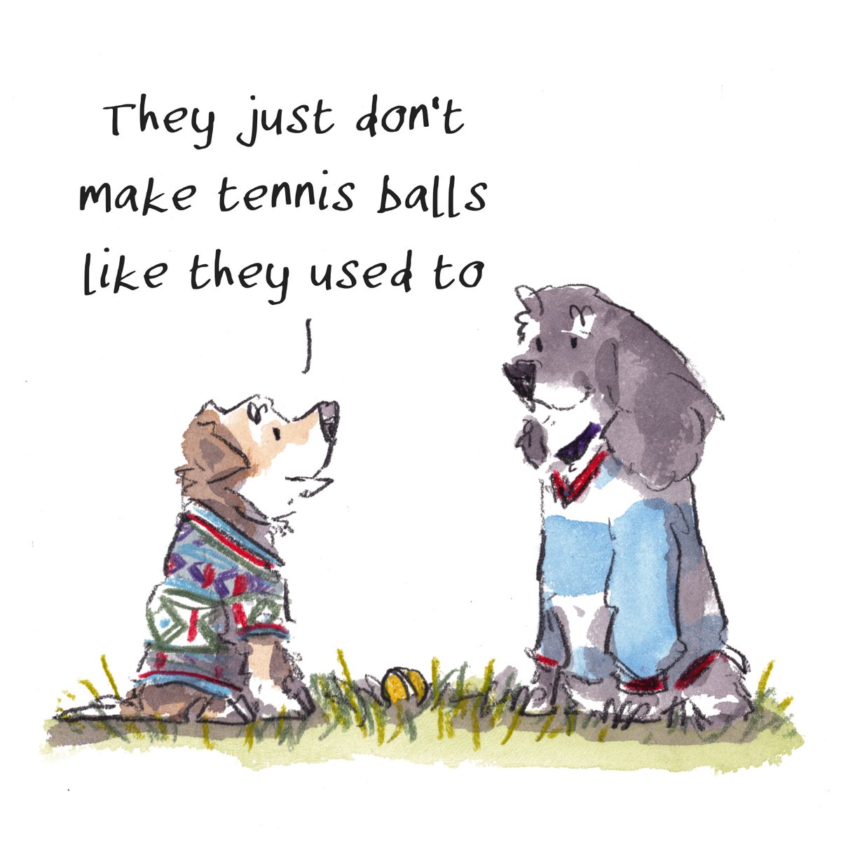 iaindwelch's tweet image. I hope that you are having a really fab day so far, lovely people and lovely dogs. 
It is sweater weather here today. 
I&apos;m wishing you the very best. 
#hoorayfordogs
