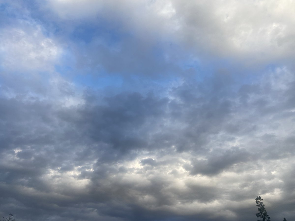 These clouds were a blessing to walk outside to🙏🏾☁️ #CAwx