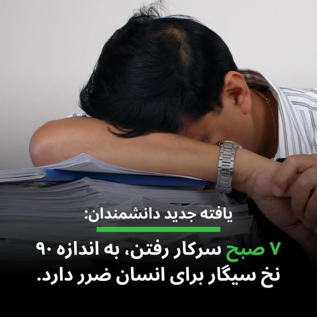 مهدی شادکام tweet media