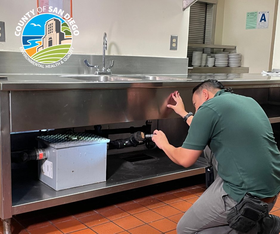 SDEnvirohealth's tweet image. PRO TIP: If you’re a restaurant owner, you can keep vermin at bay through proper food storage, secured bins, regular cleaning and maintenance, and routine checks for the signs of unwanted mice, rats, and insects.

Get resources: bit.ly/3KJ1GOr #vermincontrol #pestcontrol