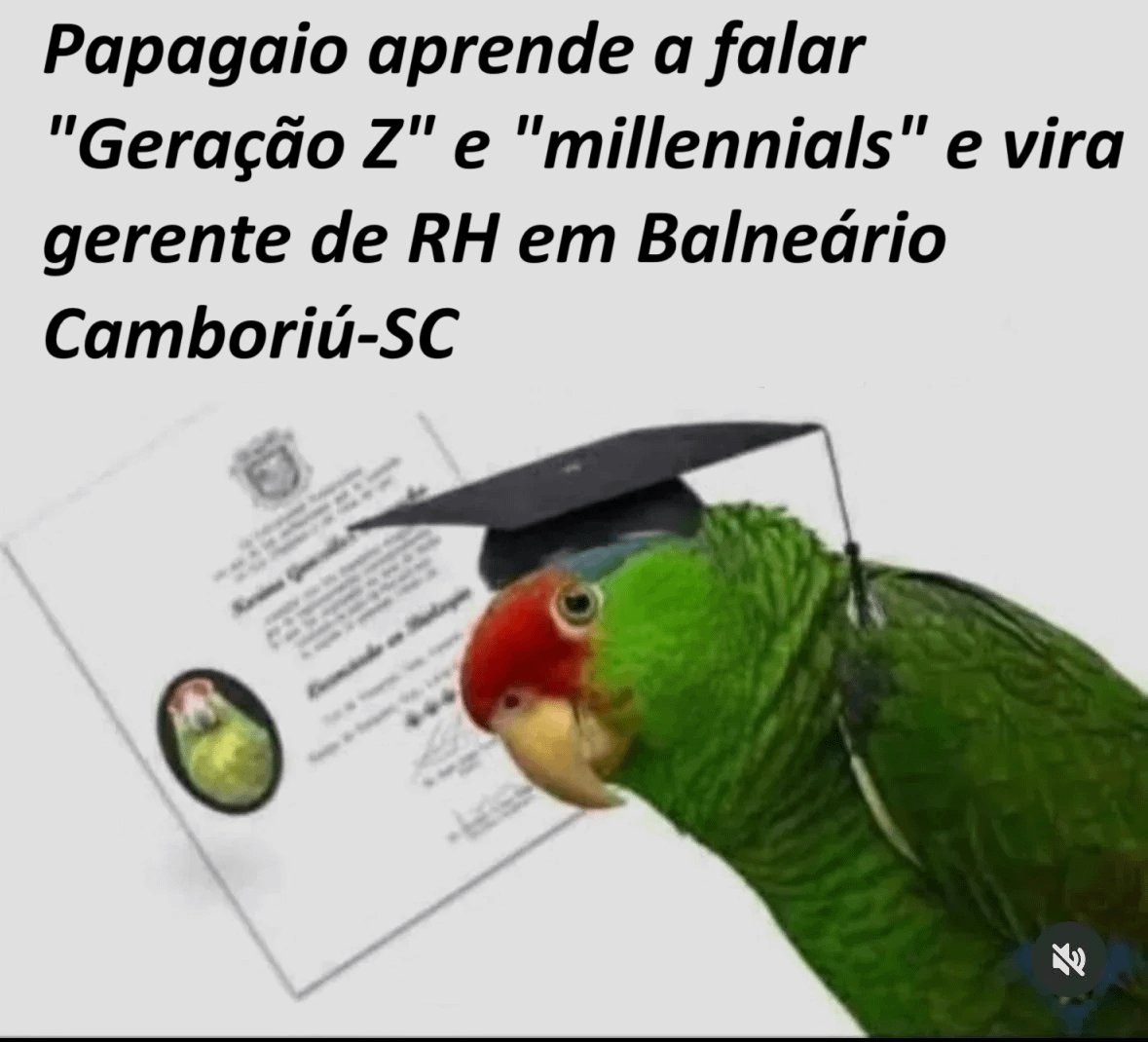 <a href="/leticiaarsenio/">Letícia Arsenio</a>