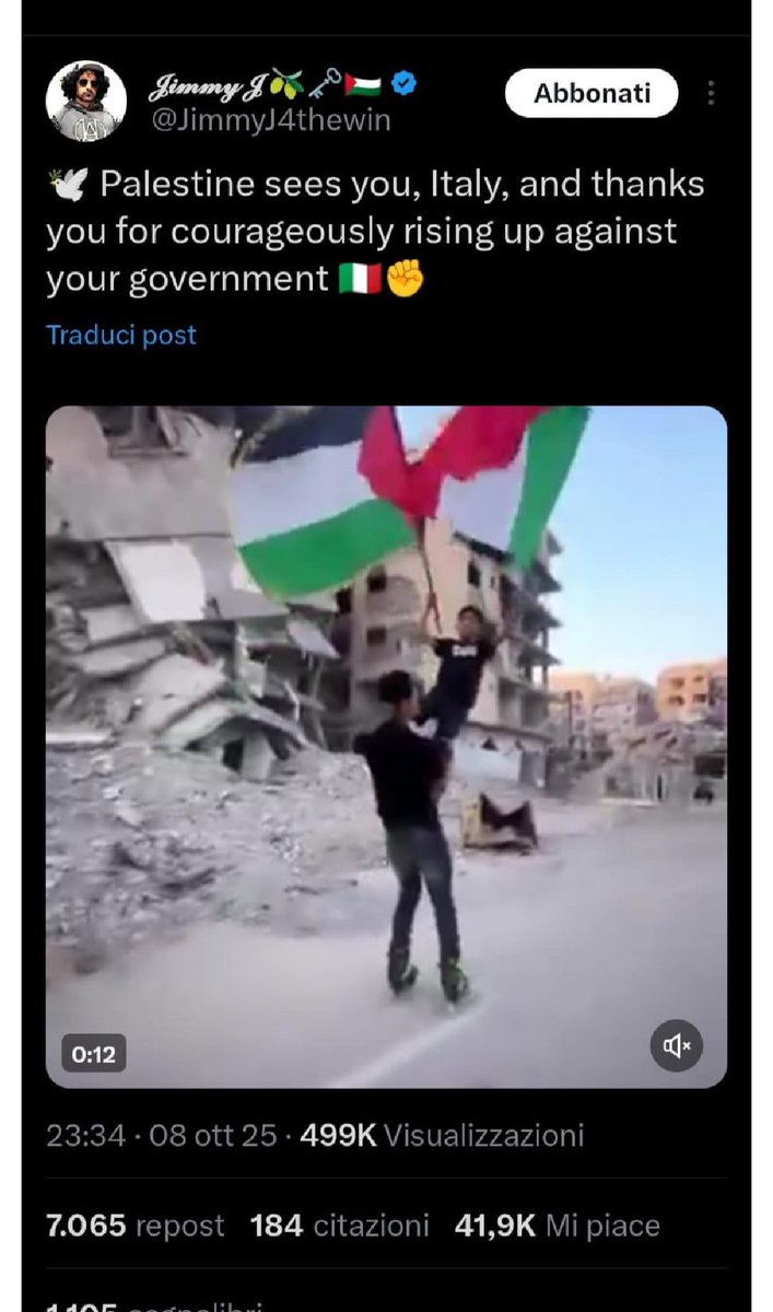 borghigiana's tweet image. "La Palestina ti vede Italia, e ti ringrazia per essere coraggiosamente insorta contro IL TUO GOVERNO"