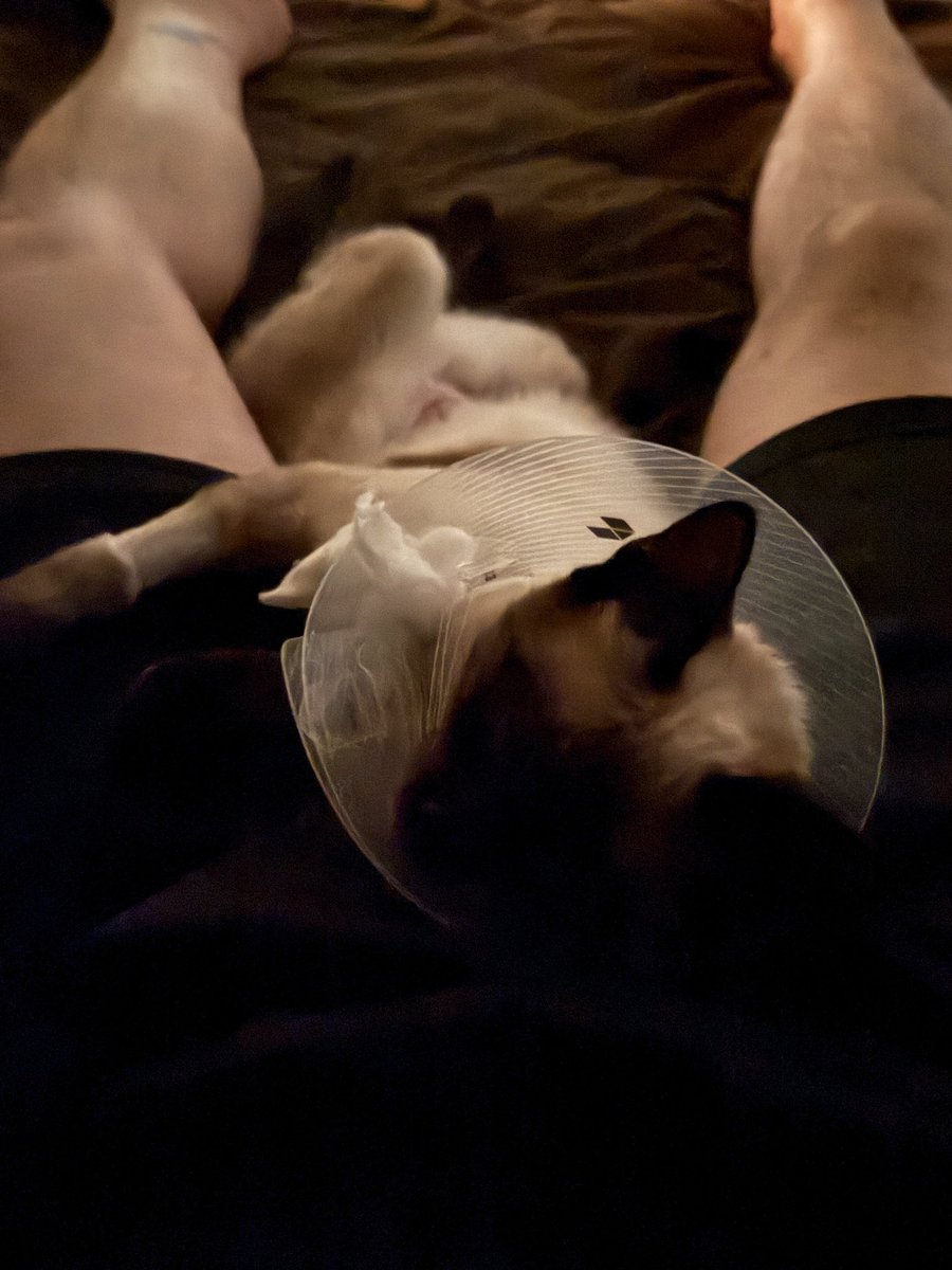 Baby girl, is a hurtin today.
