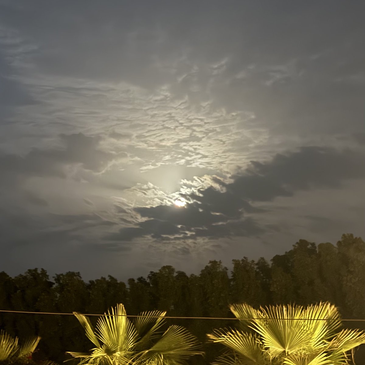 هذا رصدي بكوني 🌌💡
#أسبوع_الفضاء_العالمي #ضوء_نجم