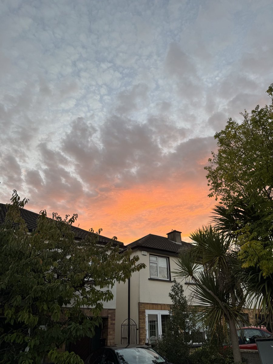 maeeee✨🐧 tweet media