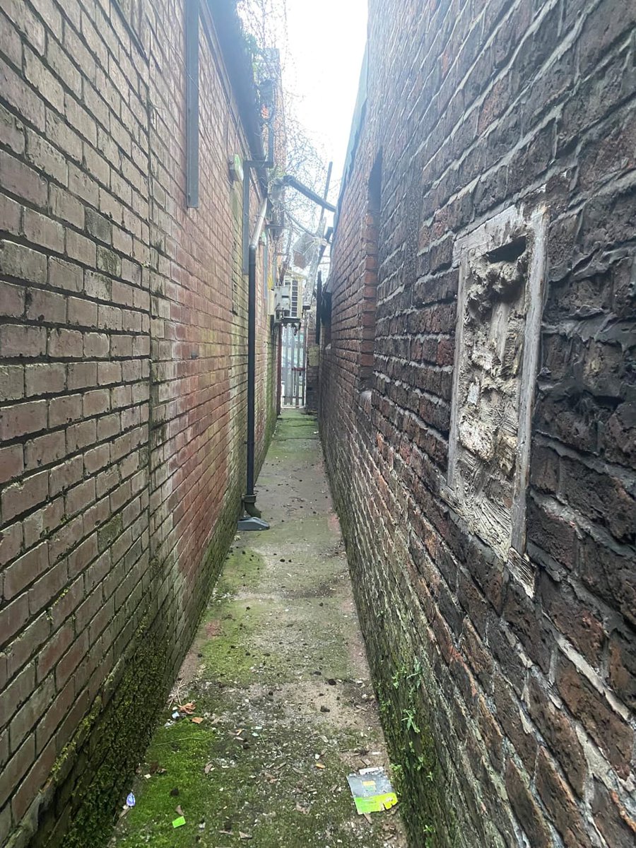 Genius Tech tweet media