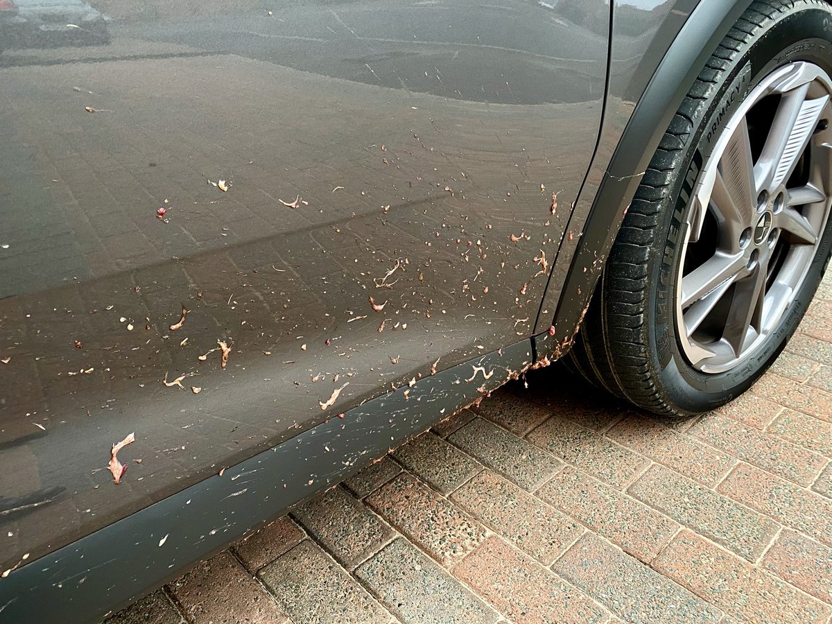 TELLitpaul's tweet image. Work travels took me to #coventry this afternoon and this is the souvenir I picked up from the Eastern Bypass M6 Junction 2…yes that’s animal offal from a truck spill 😡