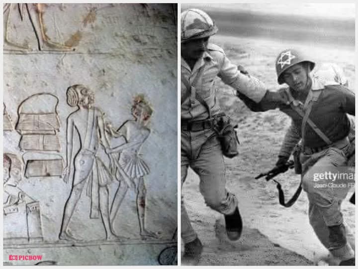 من آلاف السنين أجدادنا لم يتركوا لنا مجرد صور صامتة بل سجلوا تاريخ بطولاتهم، وانتصاراتهم
كانوا هم المسيطرون على هذه الأرض، حماة حدودها، وقادة حضارتها
إنها ليست مجرد نقوش او صور بل رسالة عبر العصور وقفت وحدها وقالت لا لتهجير  
وكان لها ما ارادت عاشت مصر حصن الاسلام والعروبه المنيع