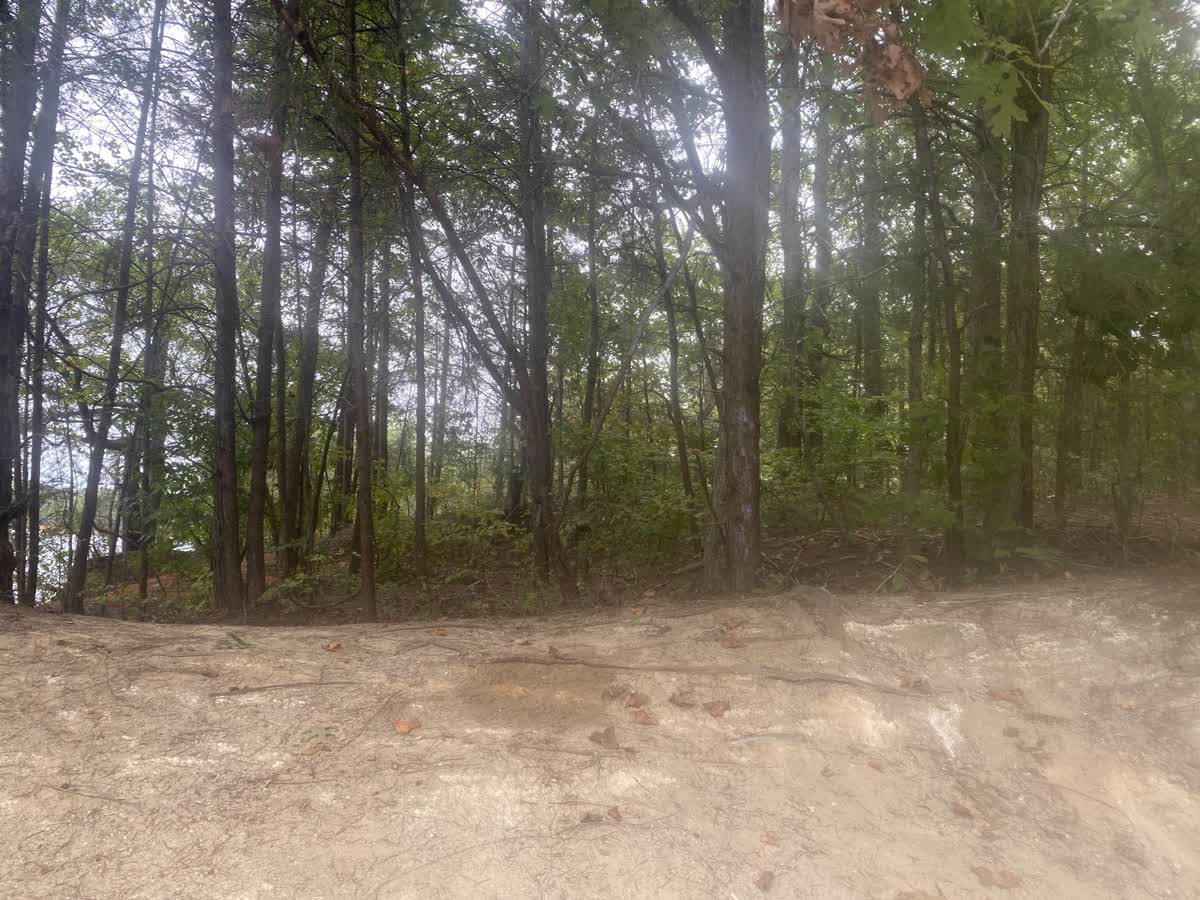 Clemson EEES tweet media