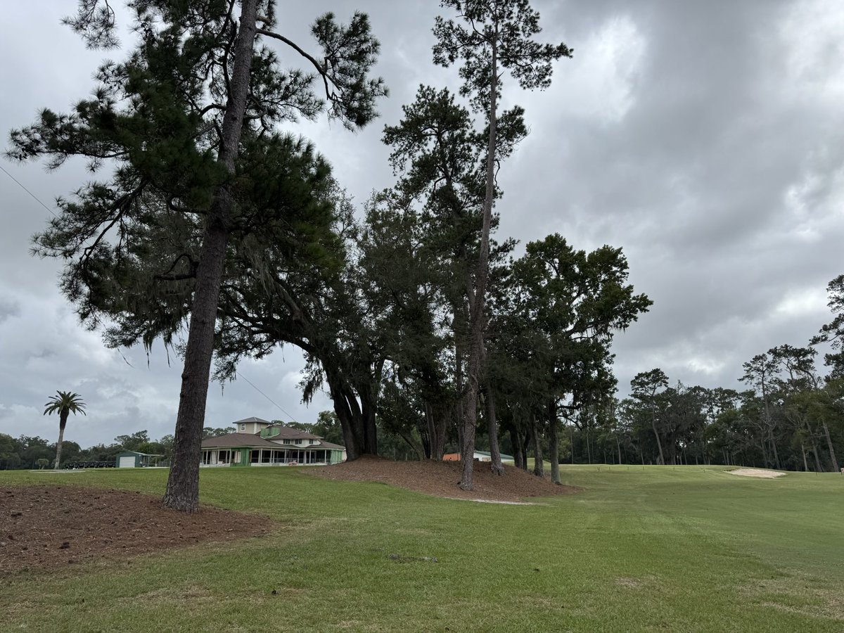 I don’t want to alarm anyone, but Hyde Park is BACK. It took some slings and arrows from people who simply don’t know ball, and the bones are still great and the skin and hair and soft tissue is improving. Some real golf holes out there. The kind of stuff they don’t make anymore.