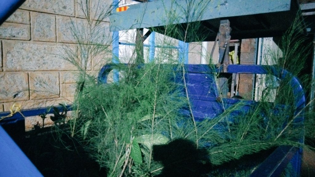 Join us tomorrow @Lenana Dam!
In celebration of Mazingira Day (Oct 10th), we’ll be growing trees with @Narecngo, Nairobi County &amp; National Govt 
Narec will donate 250 seedlings 
Let’s make our environment greener together! 
#MazingiraDay  #ClimateAction  #NairobiRecyclers