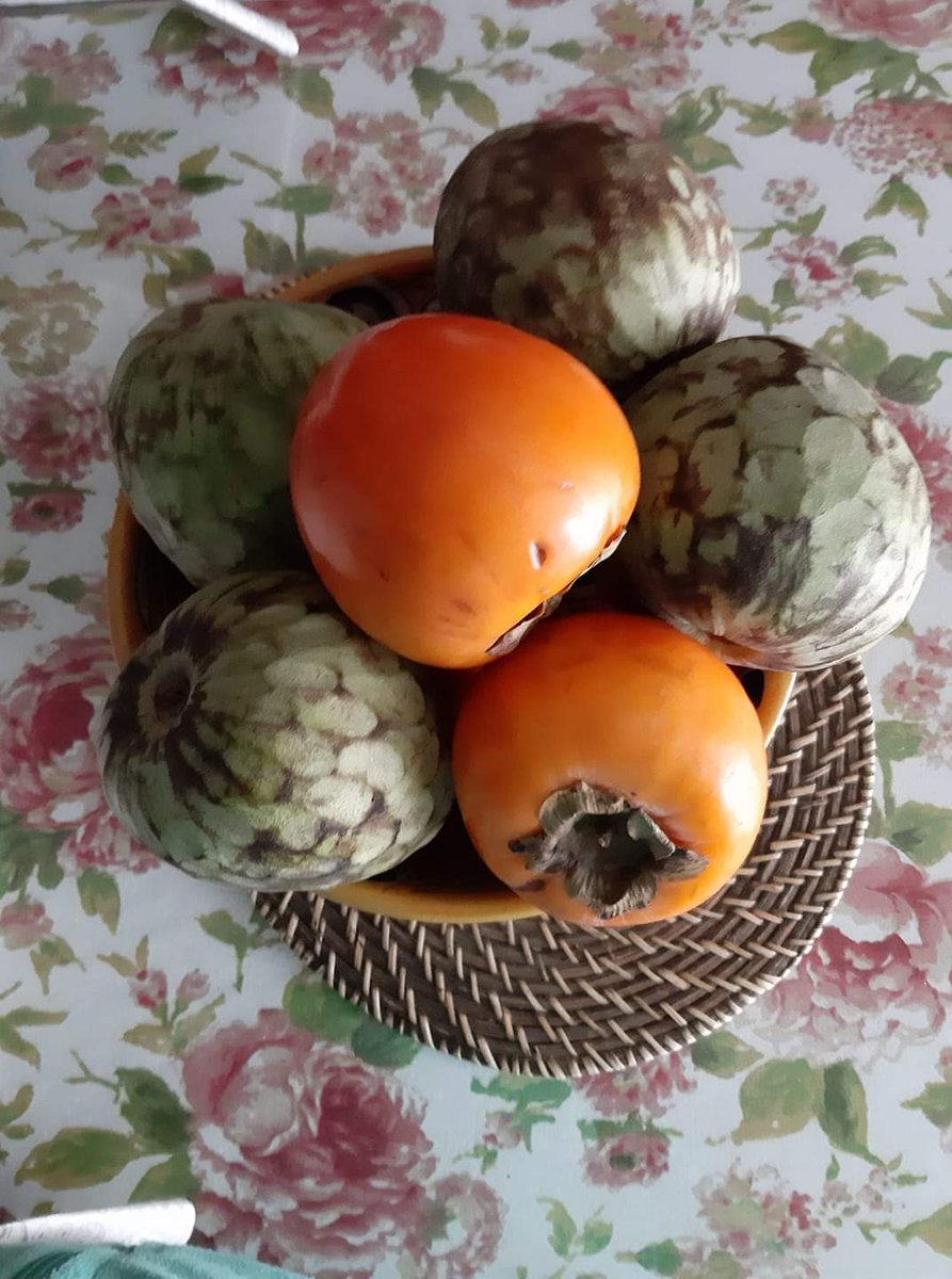 ❤️🌹✨Paki✨🌻❤️ tweet media