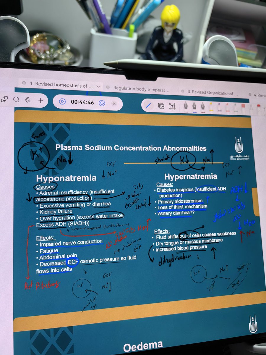 isarroo_'s tweet image. Module A DONE ✅🥳
حمدلله راضيه عنه 💯. 
مديول B ترقبنييييييي 🤌🤌. 
#UQUMED45 #ModuleA