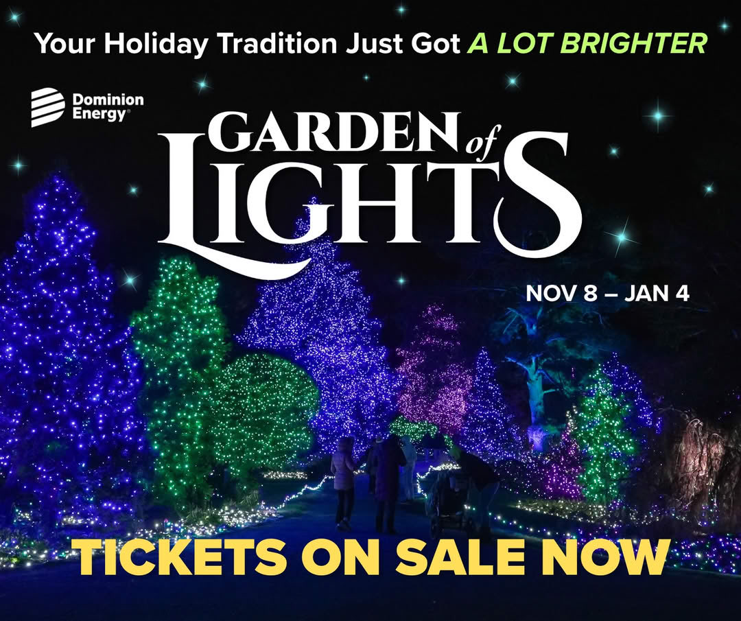 Your holiday tradition is about to get a LOT BRIGHTER!🎄💡 Experience the Dominion Energy Garden of Lights! Walk the Garden Aglow immersed in dazzling lights from Nov 8 - Jan 4. 🌟

🎟️ Purchase your tickets now: norfolkbotanicalgarden.org/dominion-energ…