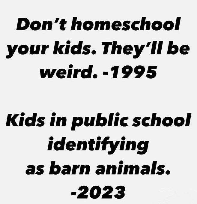 Rachel 🧡☠️🖤 (@rachel_7492) on Twitter photo 