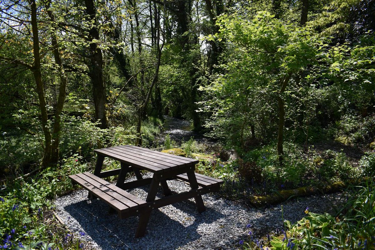 Wales Holiday tweet media