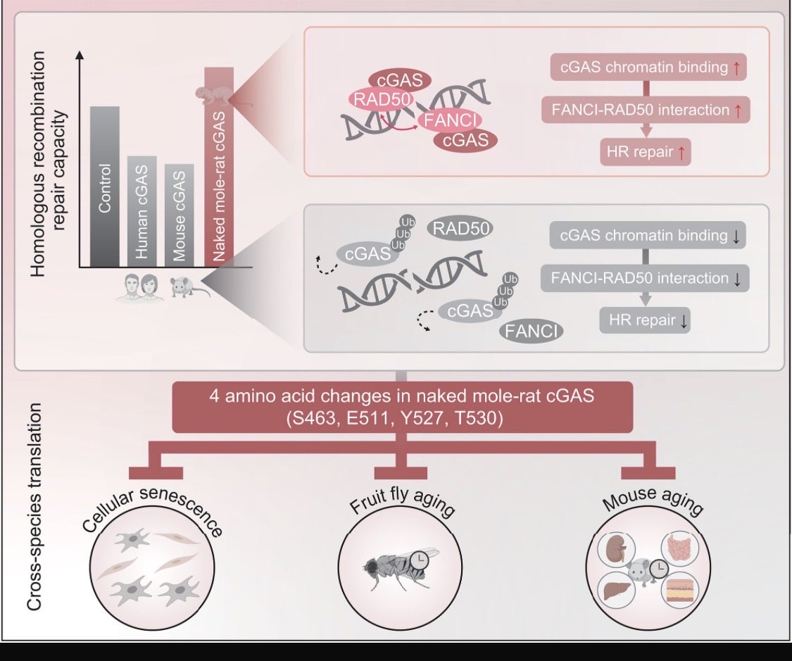 DeryaTR_'s tweet image. I will also write a Substack and X article on this. Link to the paper: science.org/doi/10.1126/sc…